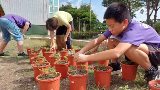 菊花地方特產入題 彰化福德國小生網博會展現家鄉魅力