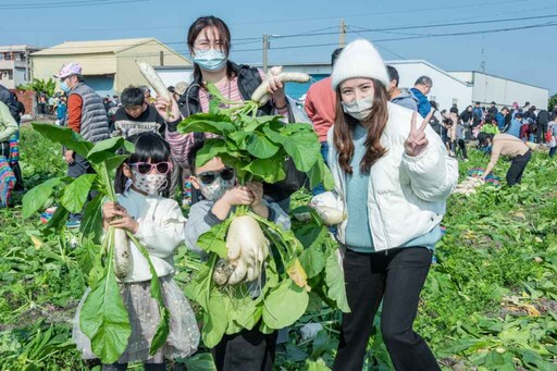 台電彰化區處「好采頭」田野健行 兩千人體驗拔蘿蔔樂趣