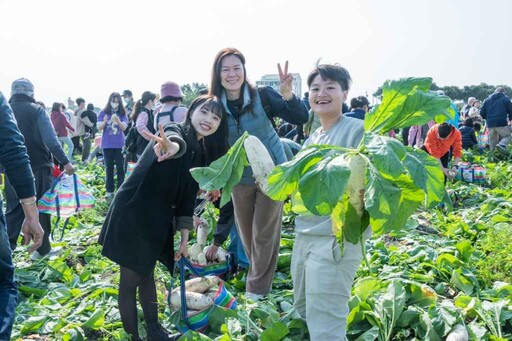 台電彰化區處「好采頭」田野健行 兩千人體驗拔蘿蔔樂趣