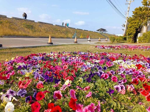 台中用花卉妝點市容 營造年節歡慶氛圍