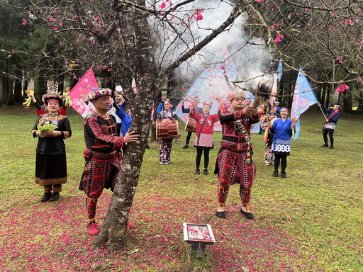 九族櫻花祭盛大開幕 長老祈福揭開第25回序幕 櫻花美麗的秘密首次公開