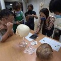 揭開1500年前的神秘頭顱 清水中社考古遺址罕見倒置犬齒