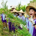 南市東山國小推動食米學園計畫 連續四年獲得評鑑績優