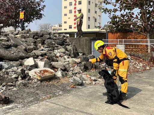 台中4隻搜救犬IRO評測全數過關 充分展現訓練成果