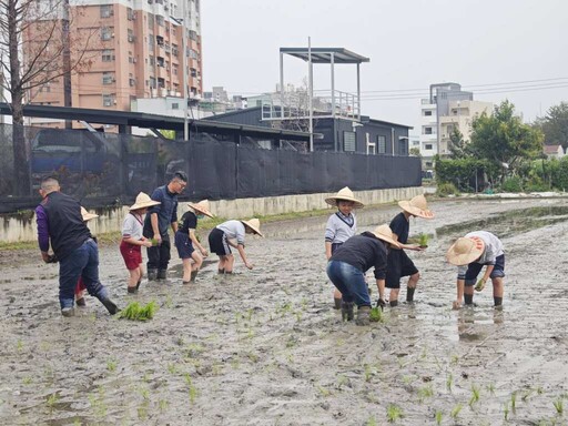 大里區農會引領學子體驗農耕 推廣食農教育作伙插秧趣