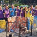 台中志工協會關懷流浪動物 捐贈飼料做公益