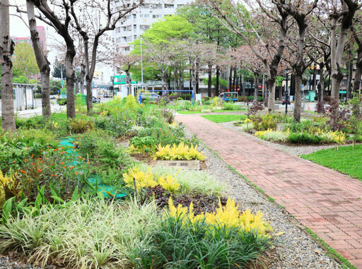 台中花之道計畫持續前進 南區忠明園道綻放花園新貌