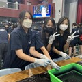 活化客語社群！龍津高中攜手鹿江國中小體驗客家藍染