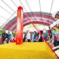 蘆竹五酒桶山公園兒童遊憩場開工 提供孩子安心遊玩空間