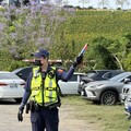 花壇虎山巖金針花季 彰化警加派人力疏導交通