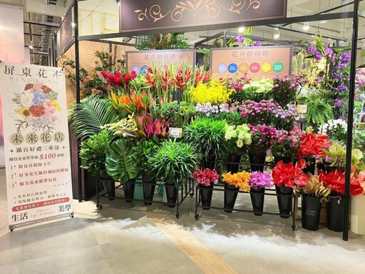 2025屏東的花卉生活美學展 享受花卉新五感饗宴