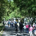 繁花盛開健步森坂在鳳林 林田山林業文化園區熱情齊步走