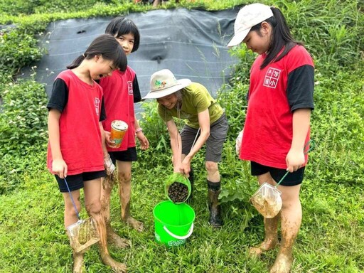 平等國小手護田園 清除福壽螺護生態