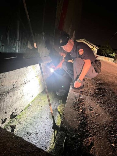 陸龜夜逃驚動警力! 油車警1小時火速追「龜」破案