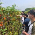 中市友善企業開辦職場體驗營 協助身心障礙者探索職涯
