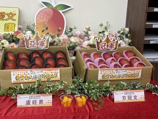 屏東芒果飄香全台 愛文評鑑揭曉冠軍農友出爐