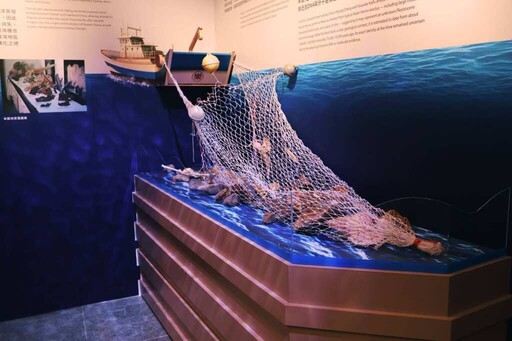 《丹尼索瓦人到臺灣》科博館開展 揭開古人類研究新篇章