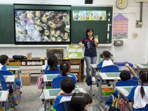 蜜蜂進校園！彰化市國聖國小推SDG生態教學體驗課