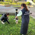 繫妥狗繩帶上狗便撿拾器 隨手清狗便做個遛狗模範生
