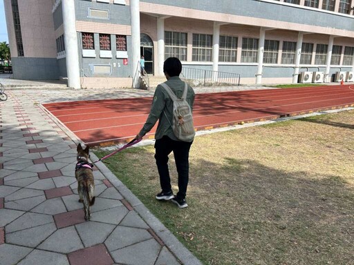 屏縣動保條例今起上路 遛狗不繫繩最高開罰1萬5