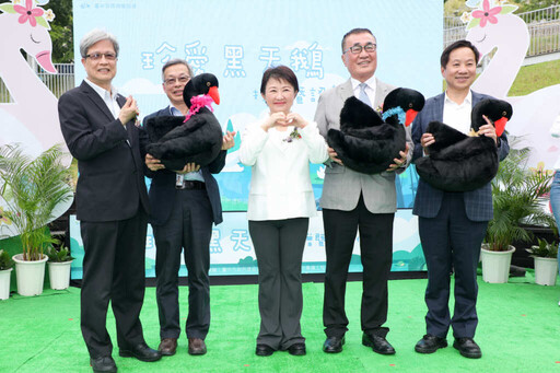 秋紅谷黑天鵝搬新家 「鳶鳶」與「揚揚」飄向北方展開新生活