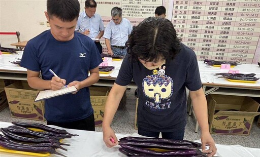 彰化「麻糬茄」全國最大產區 茄子評鑑競賽在永靖鄉農會