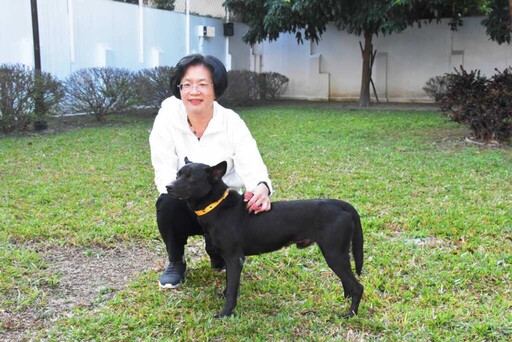 彰化縣遊蕩犬貓TNVR開跑 預計完成2300隻絕育降低人犬衝突