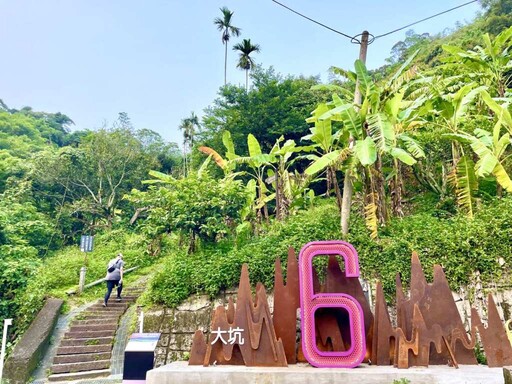漫步大坑6號仙境步道 掃QR碼遇見孫景展開專屬仙遊記