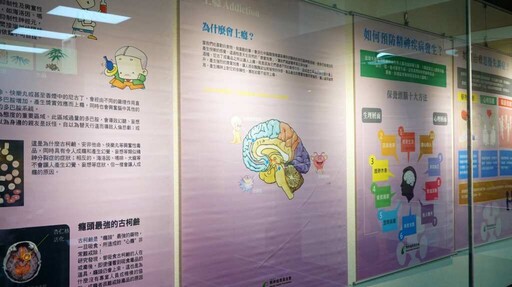 「腦的美麗境界」腦科學教育巡迴展 彰化市立圖書館展覽室展出