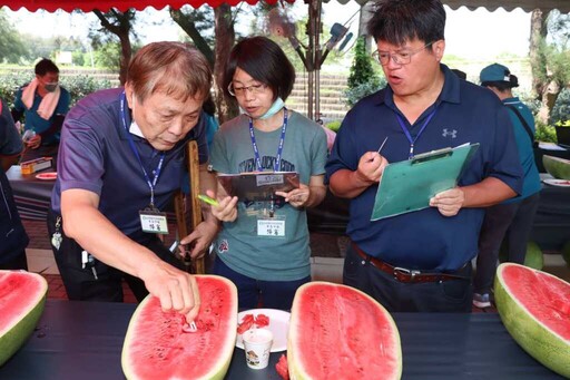 鹿茸試吃、西瓜品評 竹南西瓜節豐富登場