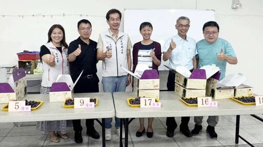 大村鄉推廣巨峰葡萄 專業評鑑比賽提升「大村葡萄」品牌形象