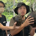 中市推本土斑龜物種辨識教育訓練 守護台灣珍貴的原生種