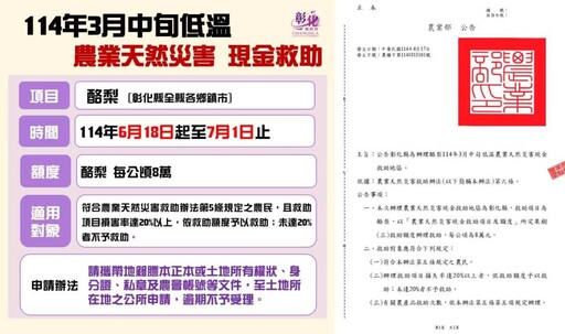 3月低溫重創酪梨災損 彰化縣可申請現金救助與低利貸款