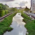 雲林溪轉身世界舞台 榮獲建設界金質桂冠