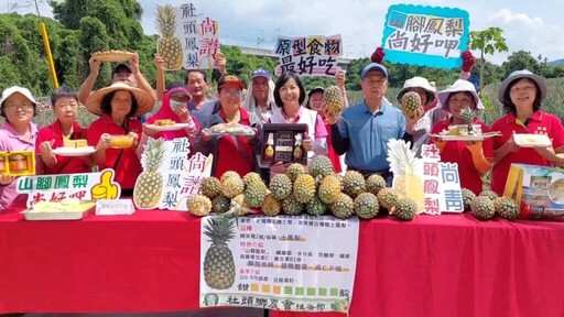 山腳鳳梨盛產期 彰化社頭推廣「無尾」在地鮮果魅力