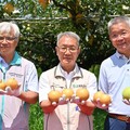 三星梨饗茶香 揪梨來三星陪您精彩一夏