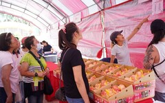 新竹尖石水蜜桃進軍北市 民眾搶購在地好滋味