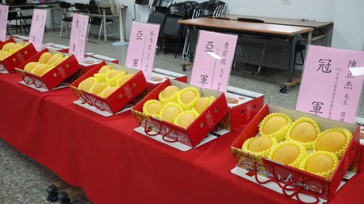 埔心鄉農會推廣金蜜芒果及農特產 表揚三蜜香金蜜芒果評鑑得主
