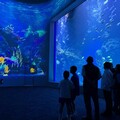 歷經14年、三任市長終完工！ 盧秀燕揭秘全台最先進「台中海洋館」