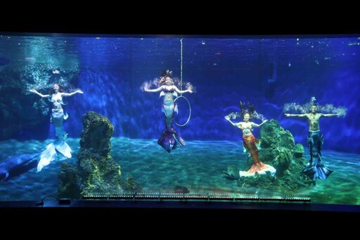 暑假最終優惠最狂學生票0元起！ 遠雄海洋公園「買大送小」、多重優惠嗨玩整個夏天