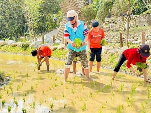 百年水梯田復舊重生 鹿谷坪仔頂水梯田永續理念獲建築園冶獎