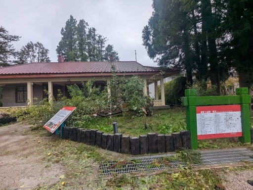 不敵楊柳颱風 福壽山農場「蘋果王」應聲斷裂 太子冬季接棒