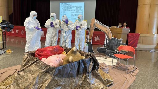 新北辦理非洲豬瘟兵棋推演 以模擬劇呈現生物安全措施