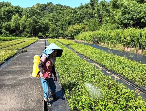 新北景觀處分享園藝植栽養護小撇步 助民眾綠化庭園