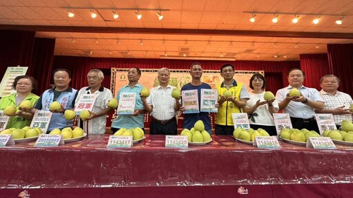 八里區農會文旦柚評鑑揭曉 甜柚王甜度破12度