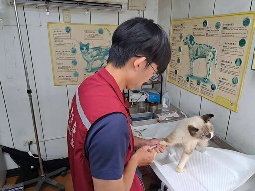 9月29日世界心臟日 新北動保處呼籲注意毛寶貝心臟健康
