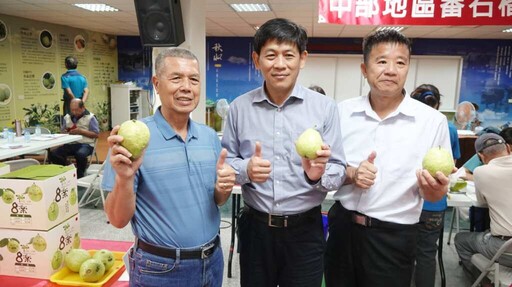 影／中部地區優質番石榴評鑑成績揭曉 社頭蕭金發勇奪番石榴王