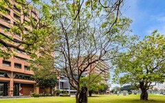 2026THE跨領域科學排名評比 成大獲35名 全台第一