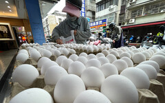 【梅花專論】蛋蛋危機再爆發 強化食農教育正其時