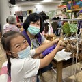 基隆老幼端午包肉粽趣 祖孫同樂粽飄香